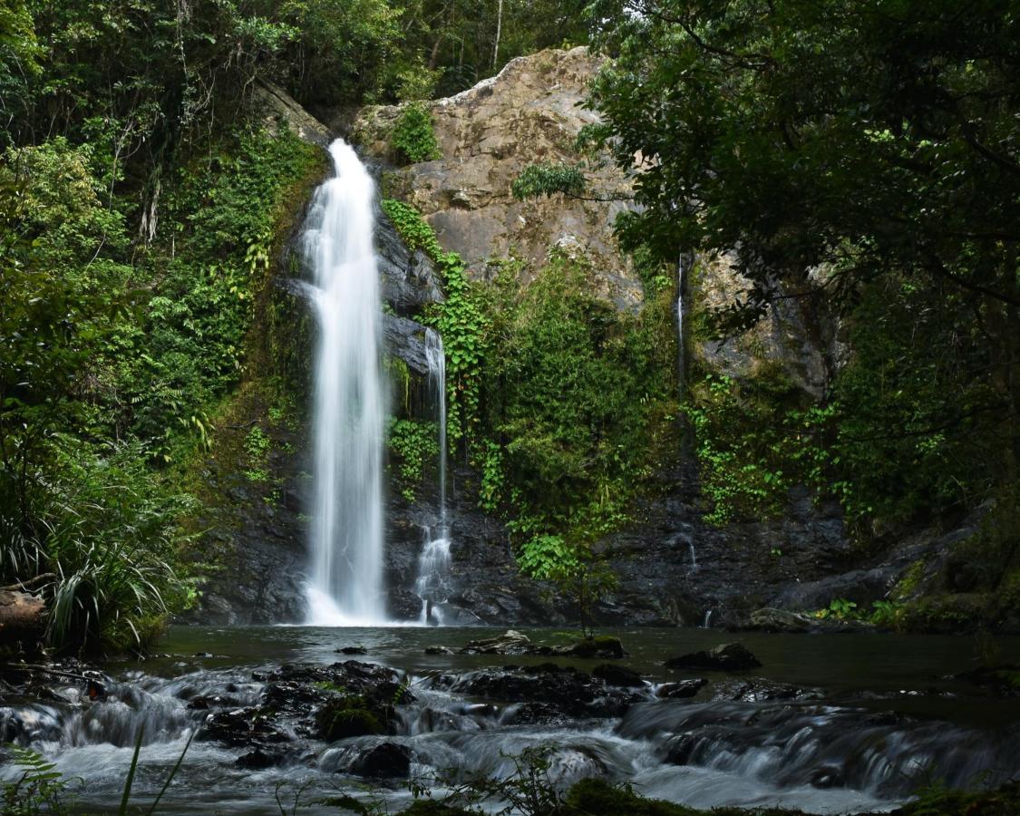 Cassowary Falls Gateway Daintree Exterior foto